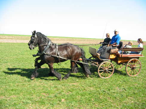 Wagonette