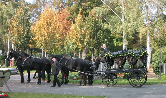 Leichenwagen Friesen-Vierspnner