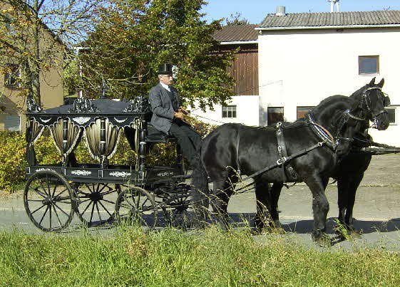 Leichenwagen 2-spnnig